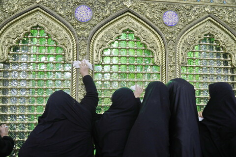 تصاویر / غبارروبی ضریح حرم حضرت معصومه(س) توسط ستاد اقامه نماز جمعه شهرپردیسان قم