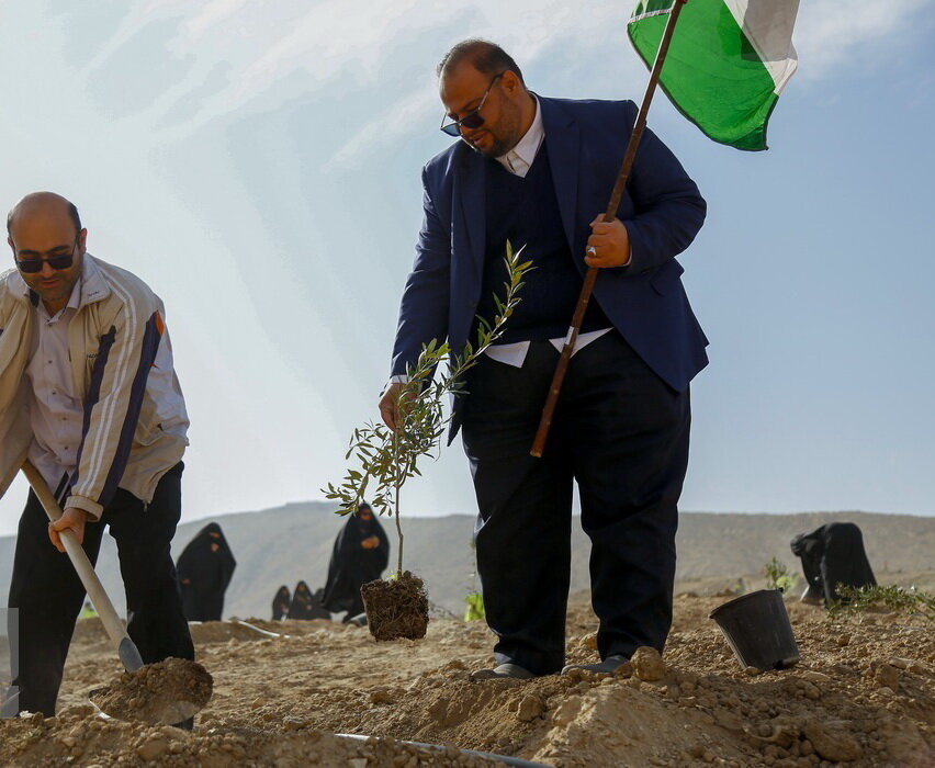 پویش کاشت نهال زیتون به یاد ۱۰۰هزار شهید فلسطین در قم