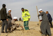 Olive Saplings Planted in Memory of Palestinian Martyrs in Qom