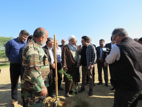 لبیک مردم دشتستان به دعوت رهبری برای کاشت یک میلیارد درخت