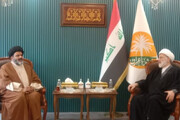 عراق میں سربراہ مجلس اَعلی اسلامی سے علامہ شفقت شیرازی کی ملاقات، پاکستان میں شیعہ عوام کا قتلِ عام زیر بحث