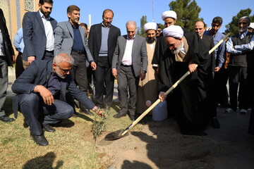 کاشت نهال زیتون برای اعلام همبستگی با مردم مقاوم غزه + عکس