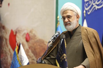 ملت بصیر ایران هوشمندانه در انتخابات مشارکت می‌کنند