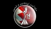 حركة أنصار شباب ثورة ١٤فبراير تدين العدوان الأمريكي البريطاني على اليمن