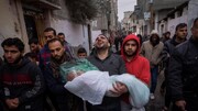 غزہ میں مزید 17 فلسطینی شہید، شہدا کی تعداد 24258 تک پہنچ گئی