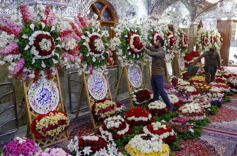 تزيين حرم أمير المؤمنين (ع) بأكثر من 25 ألف وردة ضمن الاستعدادات للاحتفال بالولادة الميمونة