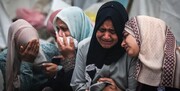 فلسطینی شہداء کی تعداد 25 ہزار سے تجاوز کر گئی