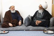 लेबनानी शिया इस्लामिक काउंसिल के उपाध्यक्ष की हज़रत आयतुल्लाहिल उज़मा अलहाज ह़ाफ़िज़ बशीर हुसैन नजफ़ी से खुसूसी मुलाकात/फोटो