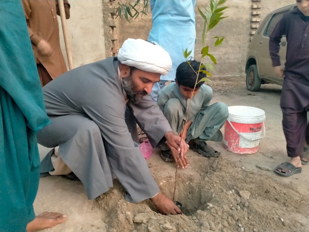 درخت؛ زمین کا حسن اور ماحول کو آلودگی سے محفوظ رکھتے ہیں، علامہ مقصود علی ڈومکی