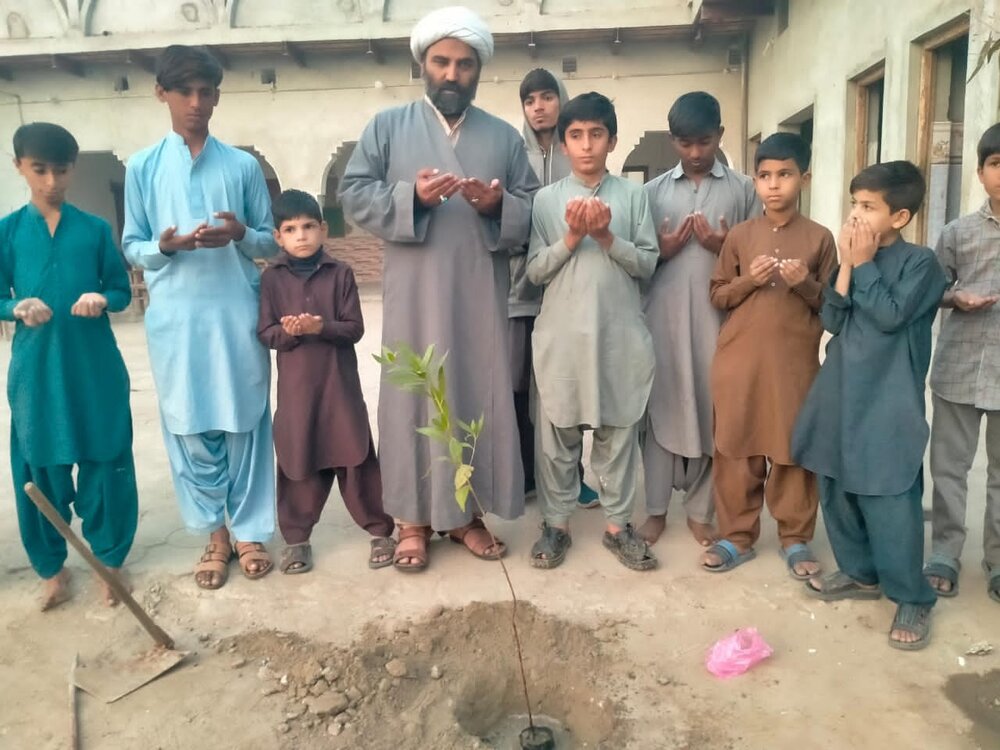 درخت؛ زمین کا حسن اور ماحول کو آلودگی سے محفوظ رکھتے ہیں، علامہ مقصود علی ڈومکی