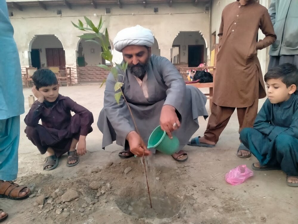 درخت؛ زمین کا حسن اور ماحول کو آلودگی سے محفوظ رکھتے ہیں، علامہ مقصود علی ڈومکی