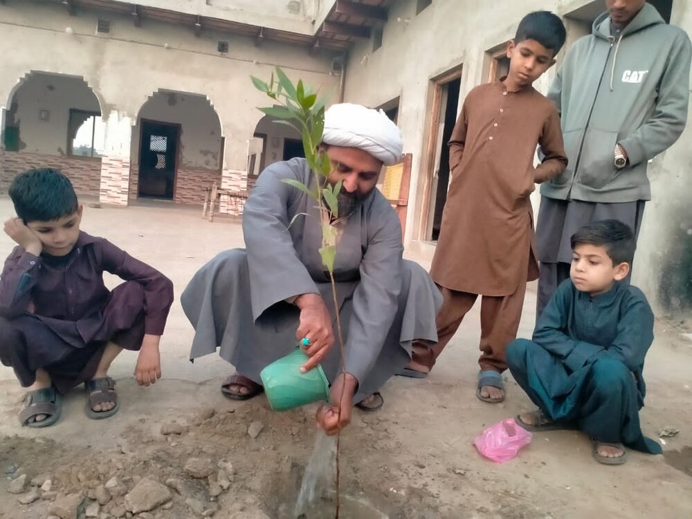 درخت؛ زمین کا حسن اور ماحول کو آلودگی سے محفوظ رکھتے ہیں، علامہ مقصود علی ڈومکی