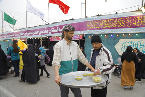 تصاویر / جشن نیمه شعبان در مسیر منتهی به مسجد مقدس جمکران