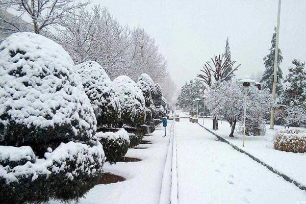 مدارس قم فردا غیرحضوری شد