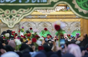 تصاویر/ حال و هوای کربلای معلی در ایام ولادت حضرت بقیه الله الاعظم (عج)
