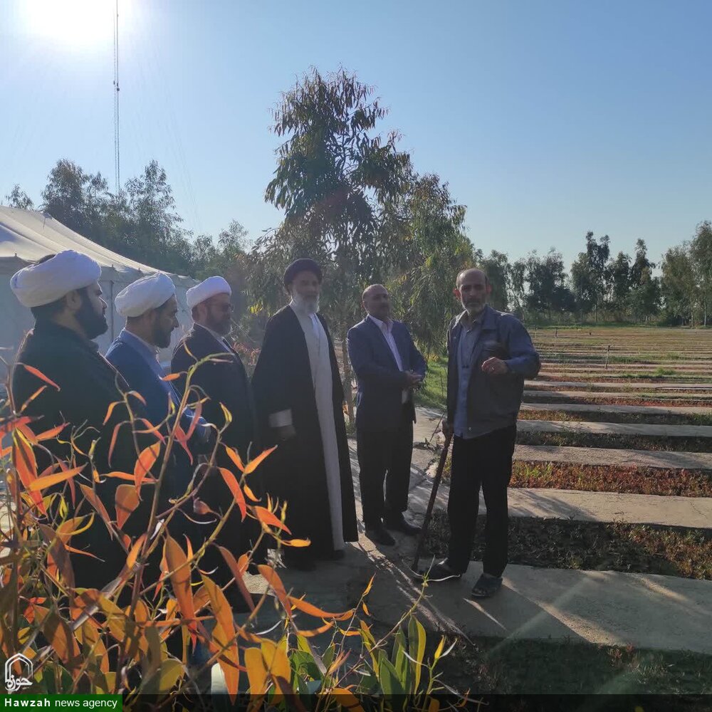 بازدید امام جمعه اهواز از "طرح زراعت چوب"  و "نهالستان شهید سلطانی"