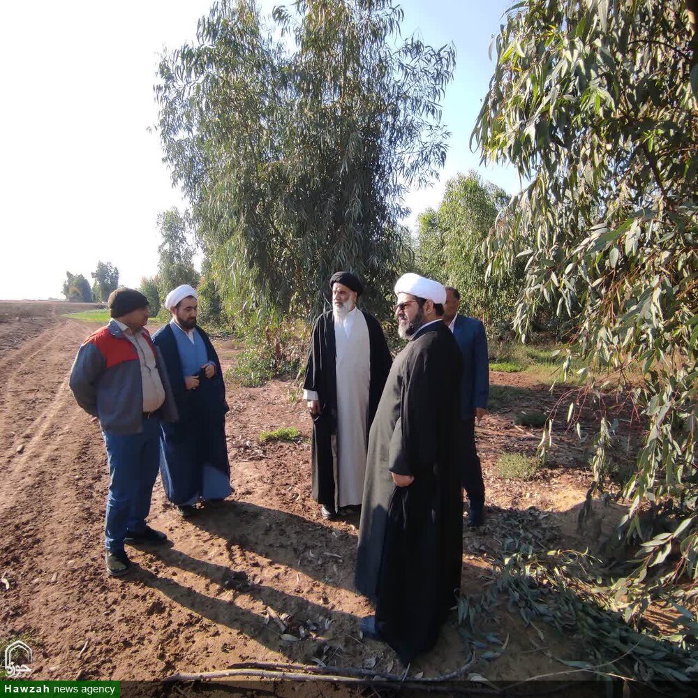 بازدید امام جمعه اهواز از "طرح زراعت چوب"  و "نهالستان شهید سلطانی"