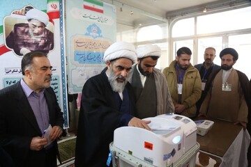 آیت الله فاضل لنکرانی: کسانی که به اسلام و میهن دل بسته اند در انتخابات شرکت کنند