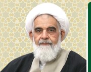 آیت الله وافی نماینده مردم استان یزد در مجلس خبرگان رهبری شد