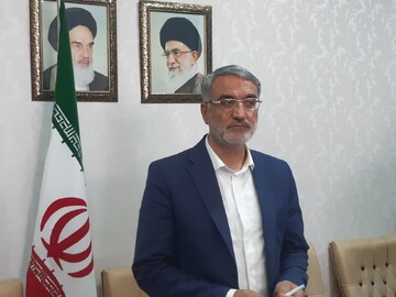 در مجلس با مشکل تورم قانون مواجهیم