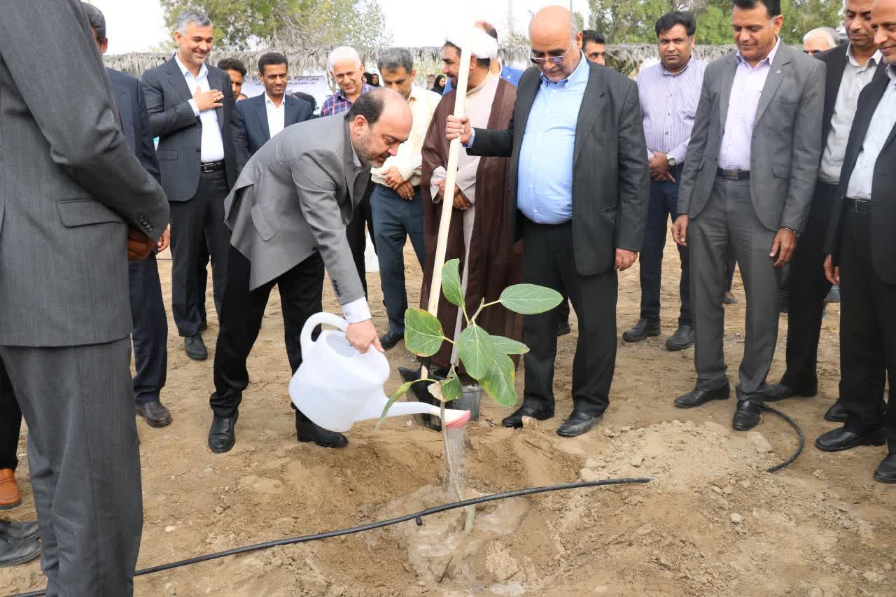 کاشت نهال هدیه زندگی به زمین و مردم است