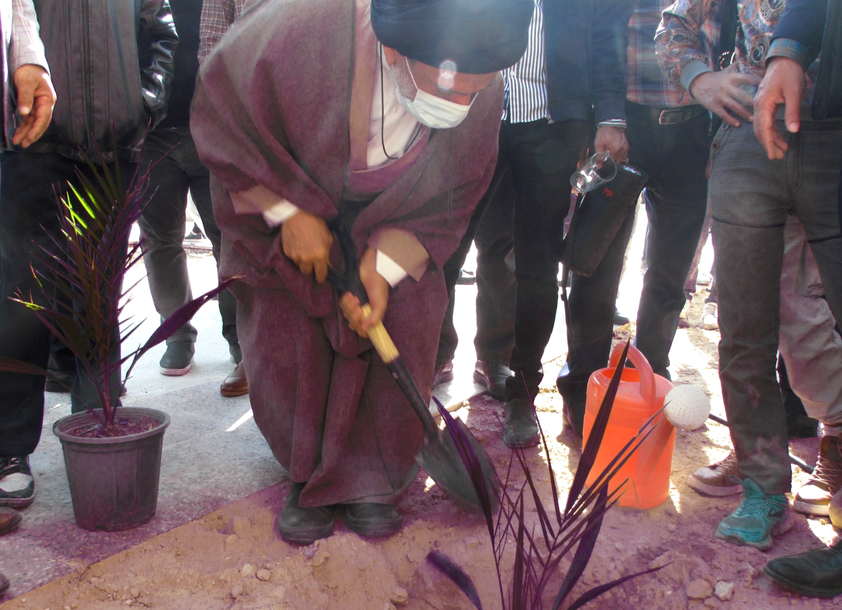 امام جمعه دیّر یک اصله نهال غرس کرد