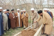 تصاویر / کاشت درخت توسط مدیر حوزه علمیه استان قزوین به همراه جمعی از کادر و اساتید