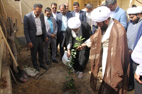 تصاویر/  کاشت نهال توسط امام جمعه بوشهر در روز درختکاری