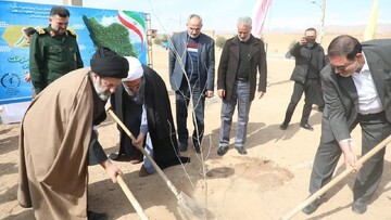 نماینده ولی فقیه در استان سمنان یک اصله نهال مُثمر غَرس کرد+ عکس