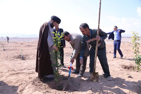 تصاویر/روز درختکاری در یزد