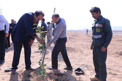 تصاویر/روز درختکاری در یزد