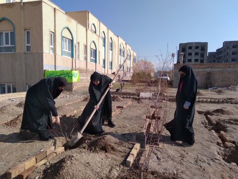 تصاویر/کاشت چند غرس نهال در حیاط مدرسه علمیه فاطمه المعصومه دلیجان