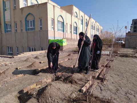 تصاویر/کاشت چند غرس نهال در حیاط مدرسه علمیه فاطمه المعصومه دلیجان