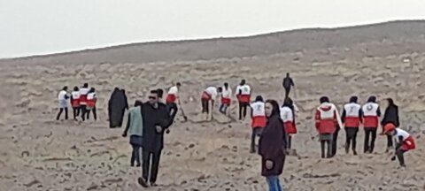 تصاویر/آیین کاشت نهال در ساوه