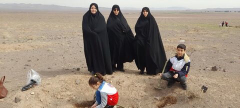 تصاویر/آیین کاشت نهال در ساوه