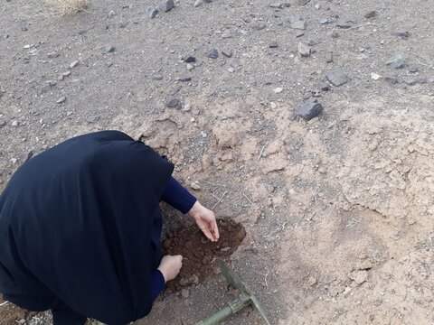 تصاویر/آیین کاشت نهال در ساوه