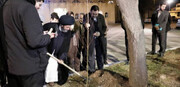 Ardabil Friday Imam Honors Natural Resources Week by Planting Saplings