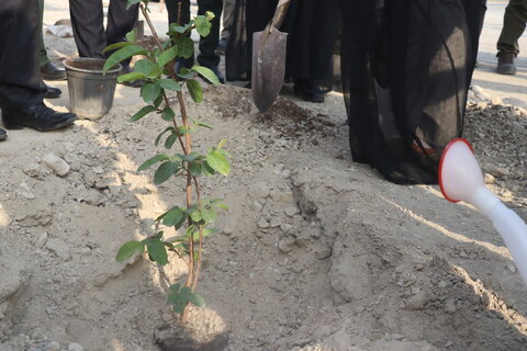 تصاویر/آیین درختکاری در شهرستان بندرخمیر