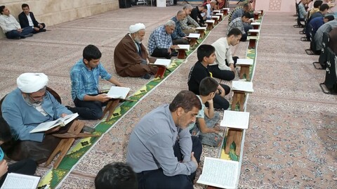 محافل انس با قرآن در دشتستان از قاب دوربین
