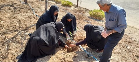 تصاویر/ کاشت نهال در مدرسه علمیه فاطمه الزهرا (س) ساوه