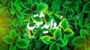نماهنگ | "مروارید شوق"  با نوای حاج محمود کریمی