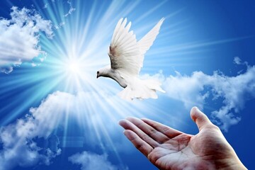 رأفت اسلامی، منجر به آزادی ۱۰۳ نفر از زندانیان سمنان شد