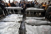 गाज़ा में शहीदों की संख्या 33 हज़ार 600 से ज़्यादा हो गई