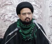 غاصب صیہونی پر ایران کا دفاعی حملہ نہ صرف ملت اسلامیہ بلکہ عالمِ انسانیت کی کامیابی کا پیش خیمہ ہے، مولانا سید عباس باقری