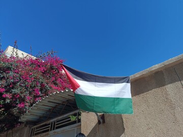 تصاویر/ نصب پرچم فلسطین بر سردر منازل و مساجد بوشهر