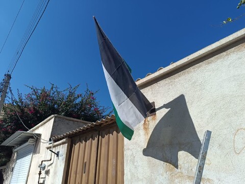 تصاویر/ نصب پرچم فلسطین بر سردر منازل و مساجد بوشهر