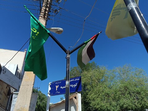 تصاویر/ نصب پرچم فلسطین بر سردر منازل و مساجد بوشهر