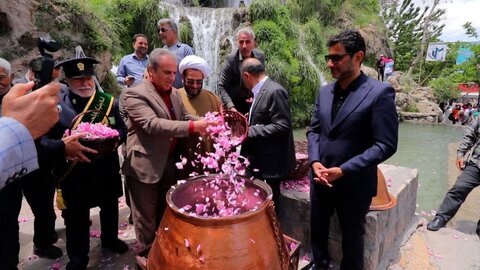 تصاویر/ «بیست و یکمین شکرانه گل محمدی» در شهر نیاسر