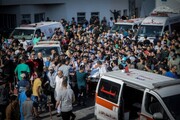 عالمی ادارہ صحت نے غزہ میں جنگ بندی کا ایک بار پھر مطالبہ کیا
