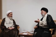 تصاویر/ ایرانی صدر کی آیت اللہ ا لعظمیٰ جعفر سبحانی سے ملاقات